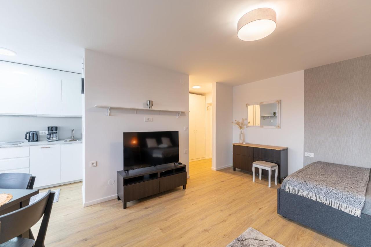 Elegant Tour As Studio Gilly With Open Views And A Balcony In The Center Любляна Экстерьер фото